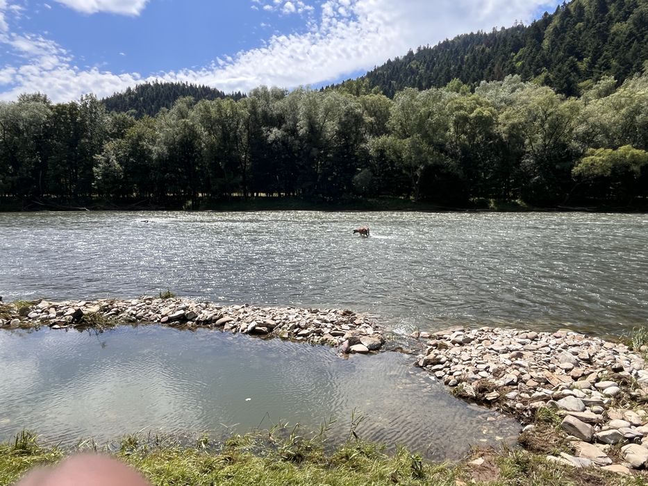Domki   -Przystań nad Dunajcem - SZCZAWNICA