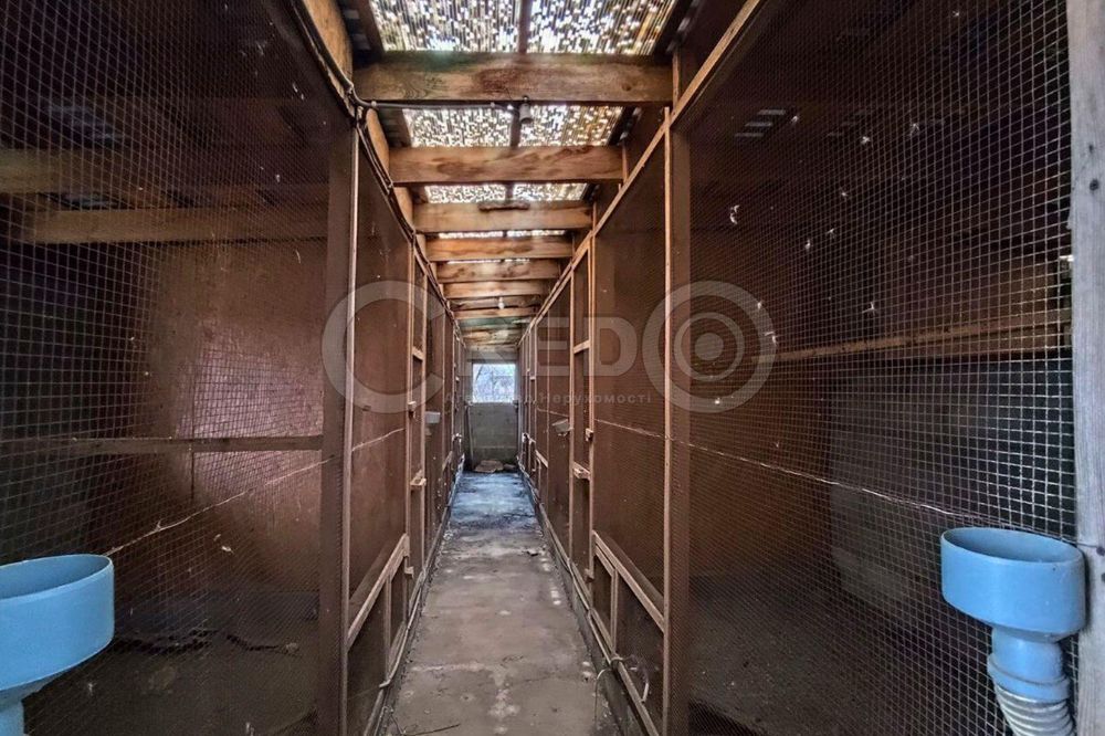 с.Надія (Радгоспне) Великий будинок + фермерське господарство