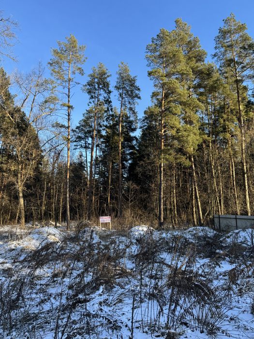Продам ділянку с виходом до Заповідного Лісу
