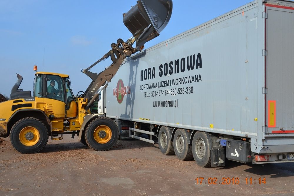 Kor-Drew Kora sosnowa luzem i workowana dostawa cały kraju min.95mp