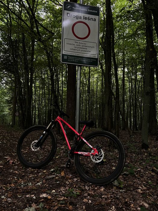 Dartmoor Streetfighter 2020 (stunt)