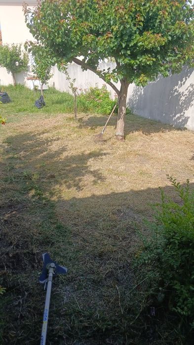 Limpeza de terrenos/Manutenção dos mesmo e serviços de Construção civil