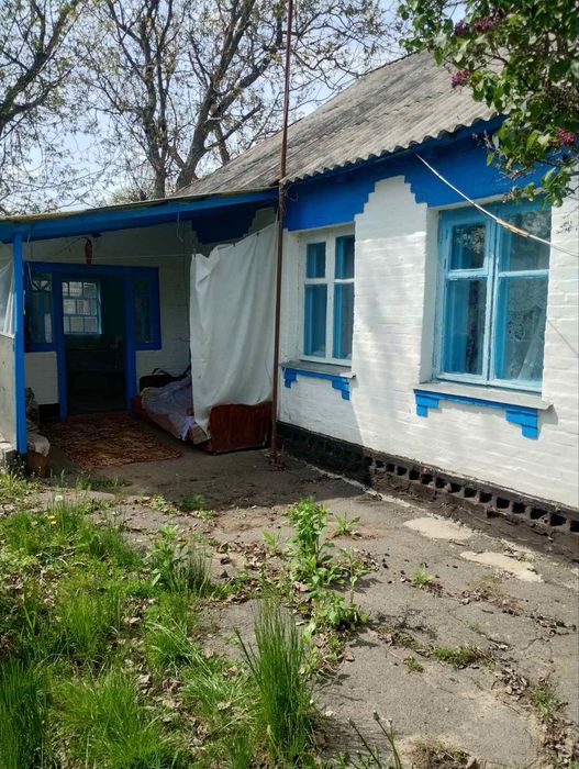 Продаєтся будинок Черкаська обл. Звенигородского р-н. село Будище