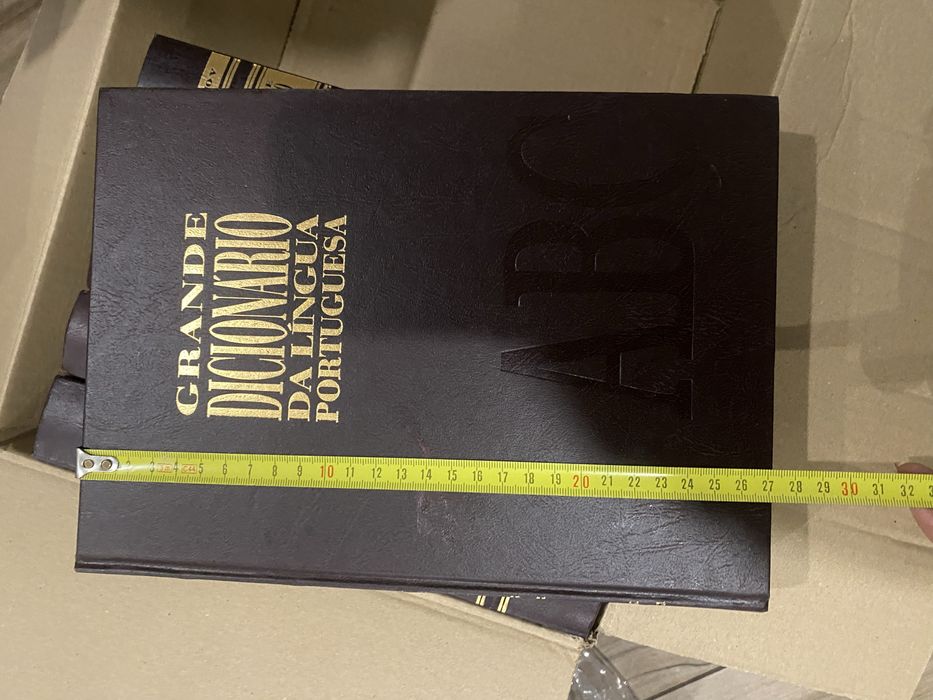 Dicionario portugues 6 volumes