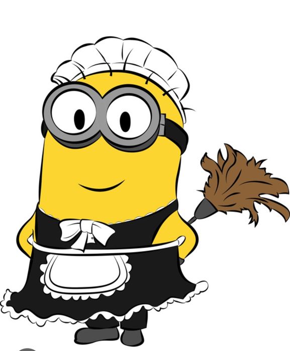 Надаю послуги прибирання.  Миття вікон.Хімчистка м'яких меблів.