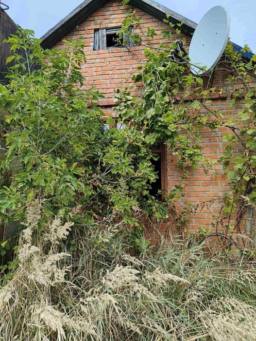 Будинок 40 м² + 39 соток, 30 км від Полтави, с. Вільхівщина