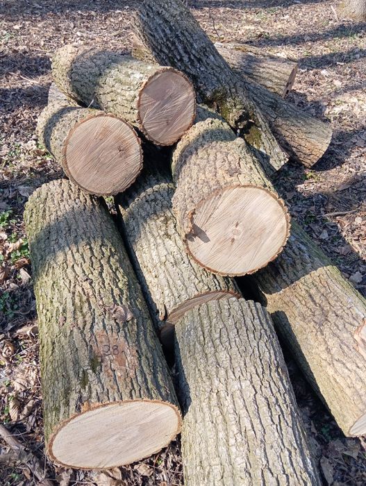 Дрова твердих порід ясен доставка по місту Умань і Району 2000 гривень