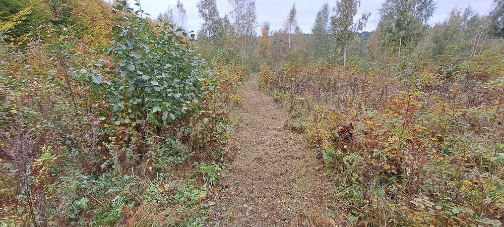 Koszenie nieużytków kosiarką bijakową  kosiarka bikakowa