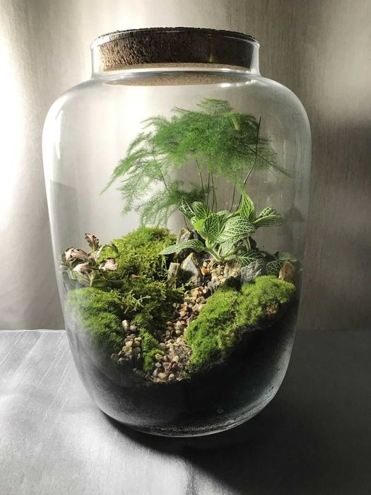 Terrário Fechado Natural — Ecossistema Vivo Autossustentável