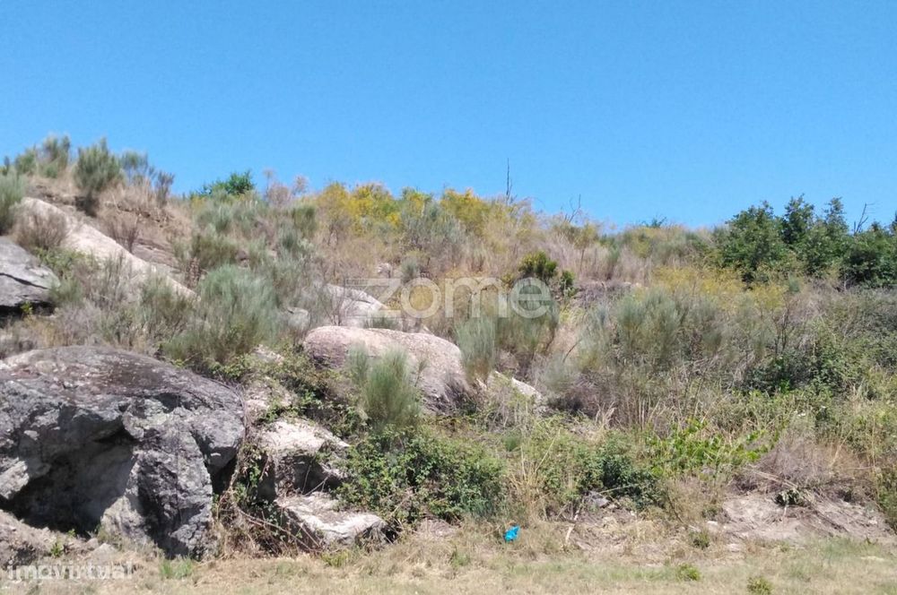 Terreno 6.000m2 em Lagares - Coimbra — Lagares da Beira, Coimbra