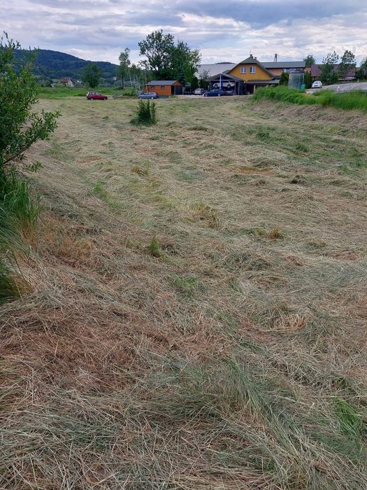 Działka inwestycyjna 49ar prY DW 977 w tym 17arow pod usługę - Widok 4
