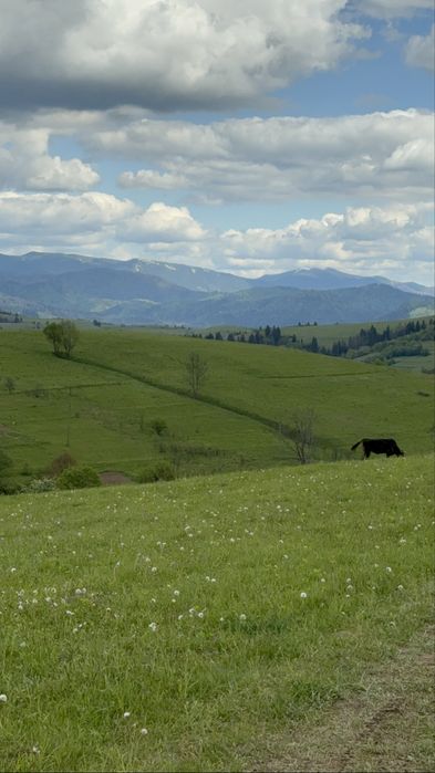 Продається ділянка у с. Річка з краєвидами