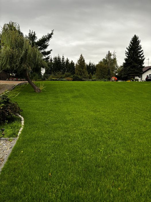 Ziemia ogrodowa pod trawnik