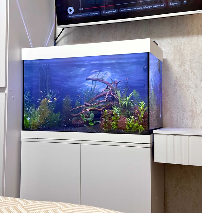 Аквариумы - Изготовление