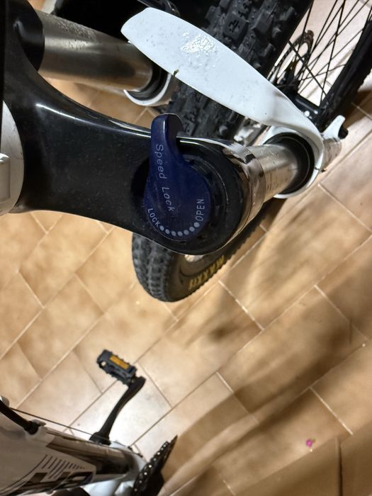 Bicicleta BH estimada