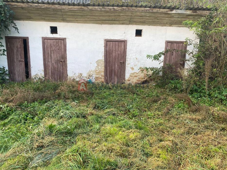 Продаж будинку з ділянкою та госп. приміщеннями с. Роснівка. ТЕРМІНОВО