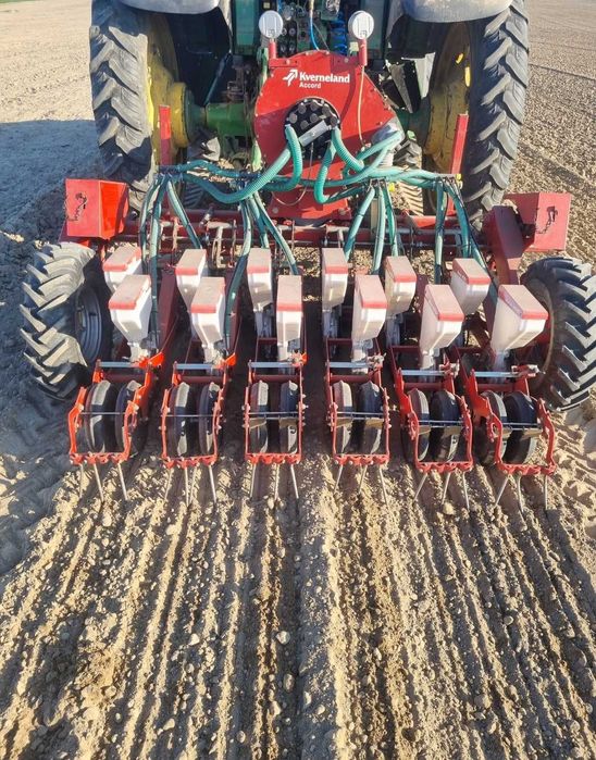 Usługa siania cebuli sianie cebuli