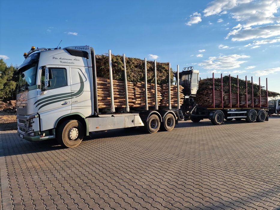 PALIKI - MELIORACJA faszyna i palisada, kołki, pale L=0,8 - 3,0m