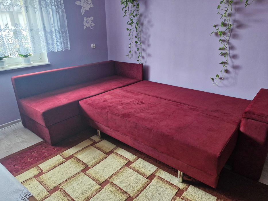 Narożnik jedno roczny