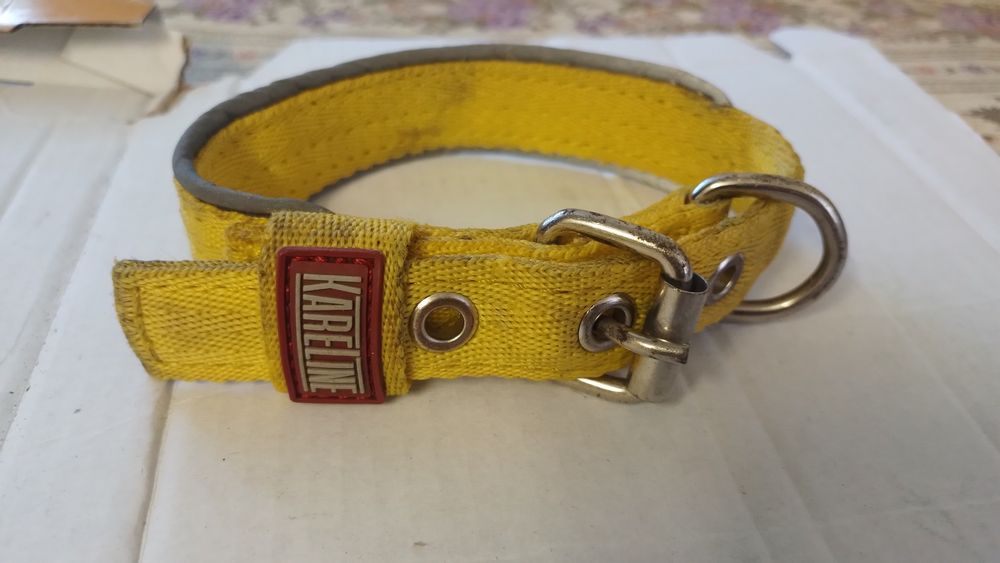 Ремiнець для самих маленьких собак