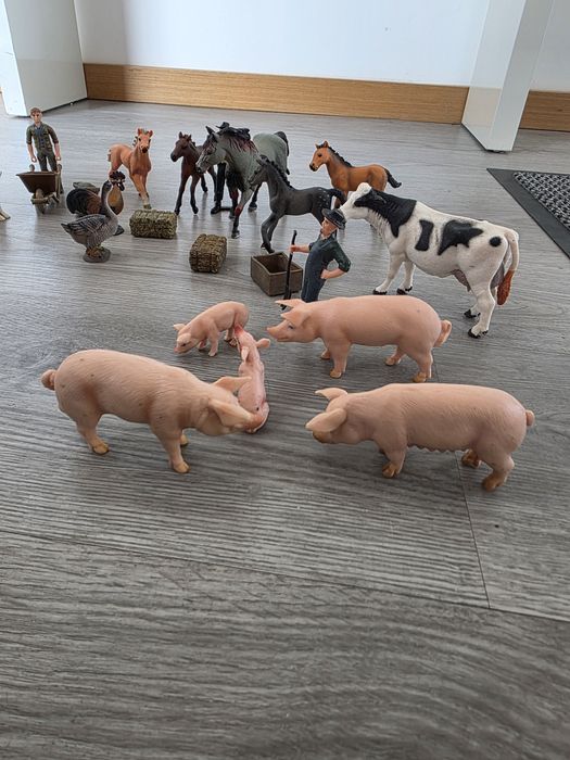 Animais selvagens e animais da quinta