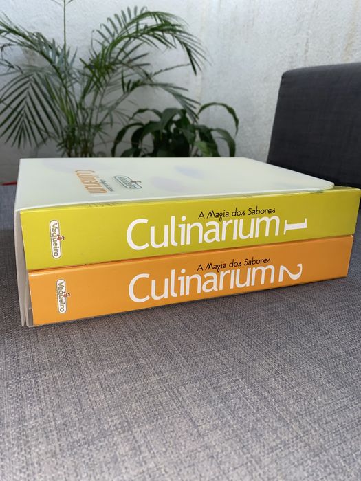 Vaqueiro Culinarium Volume 1 e 2 (e capa protetora)