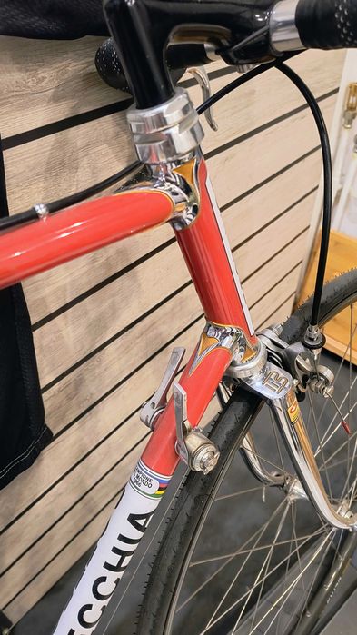Bottecchia Professional na części lub cały Campagnolo C Record 1987