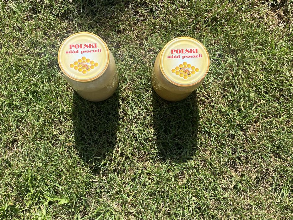 Naturalny miód z pasieki – gwarancja jakości