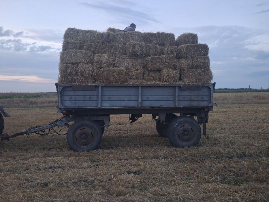 Ячмінка вівсянка солома в тюках