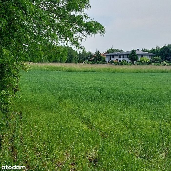 Bezpośrednio piękne działki w Powsinie