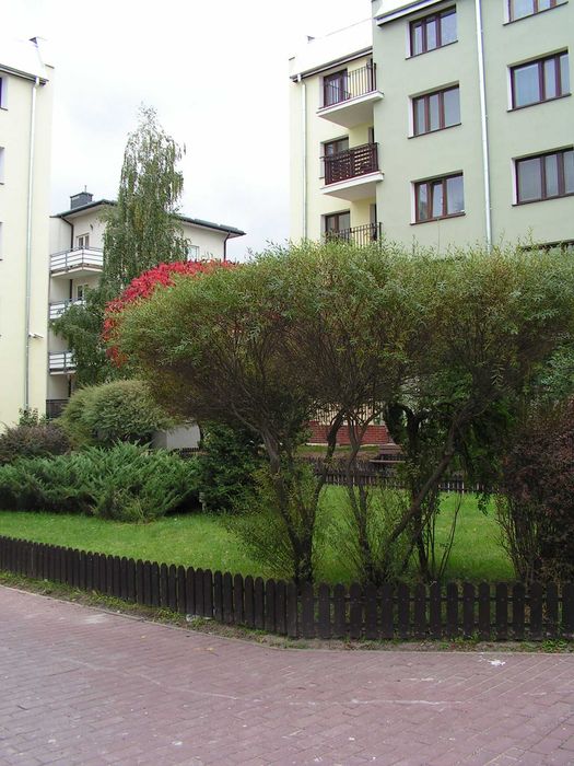 Zdjęcie 2
