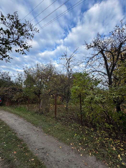 ділянка  Вороніна біля русла