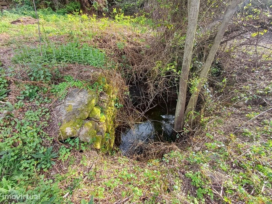 Quinta situada em plena natureza