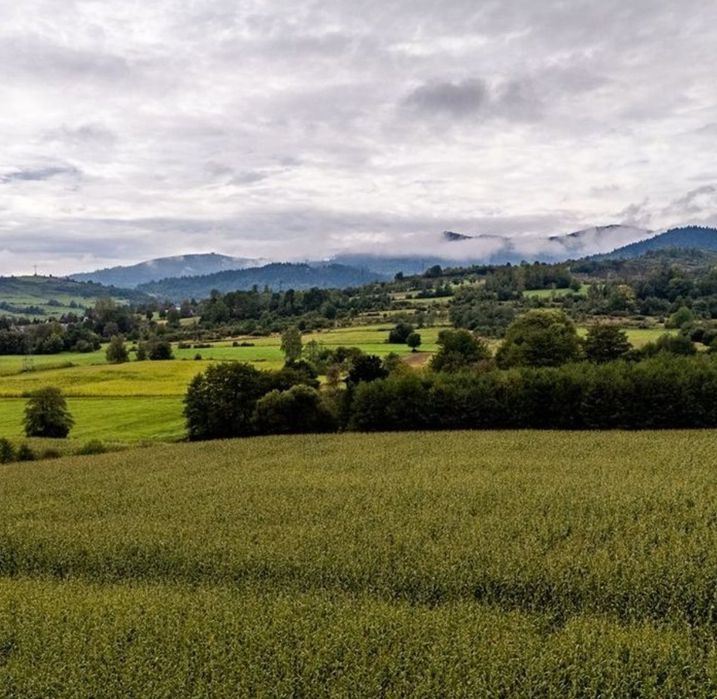 Piękna działka widokowa z dojazdem gminnym
