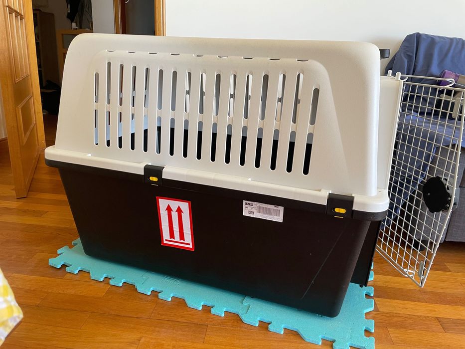 Transportadora para cão