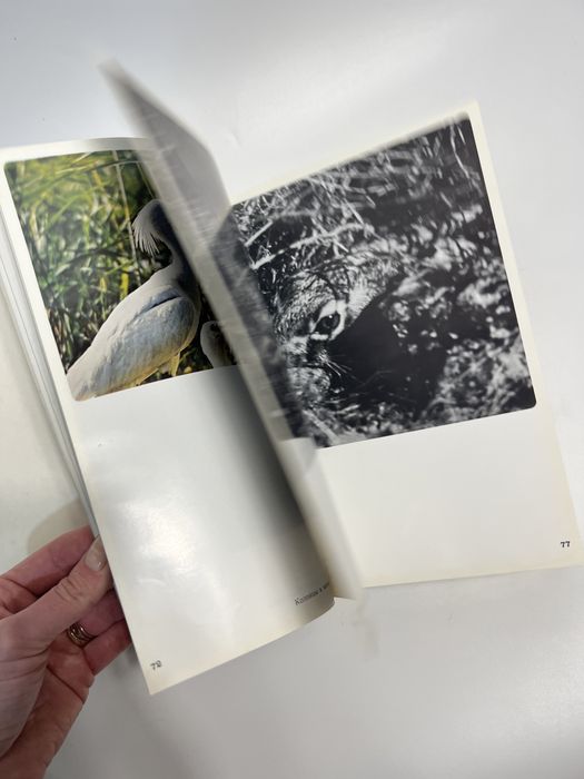 Книга на лони природи, книга природознавство