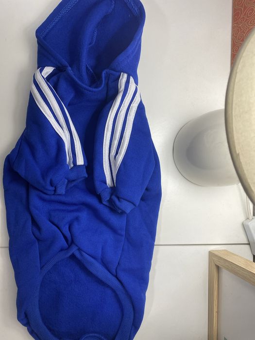 Одежда для собак, обувь