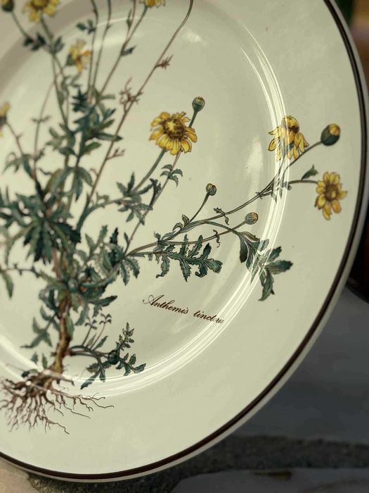 Pratos da Coleção Botânica "Villeroy & Boch" (Vintage – Anos 1980)