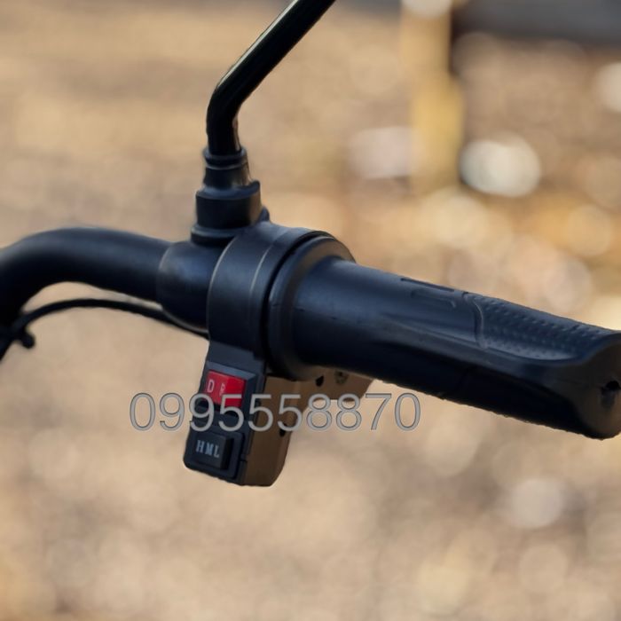 Електричний вантажний трицикл Dozer 1200W