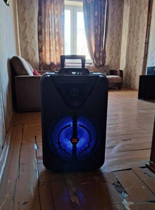 Колонка караоке з 2 мікрофонами портативна Bluetooth