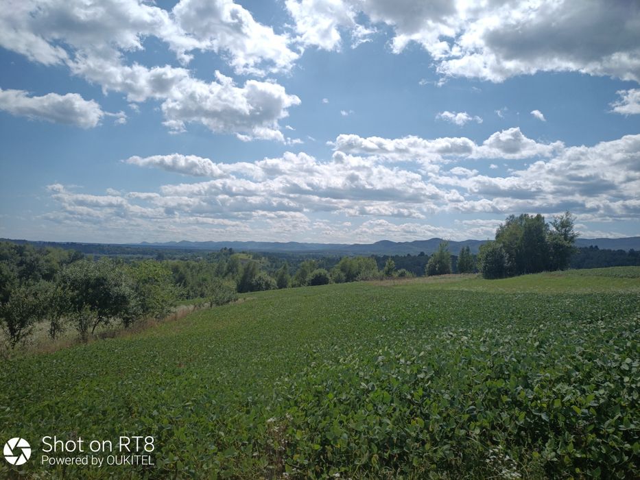 продам земельну ділянку площею 0,1400 га с. Вербовець