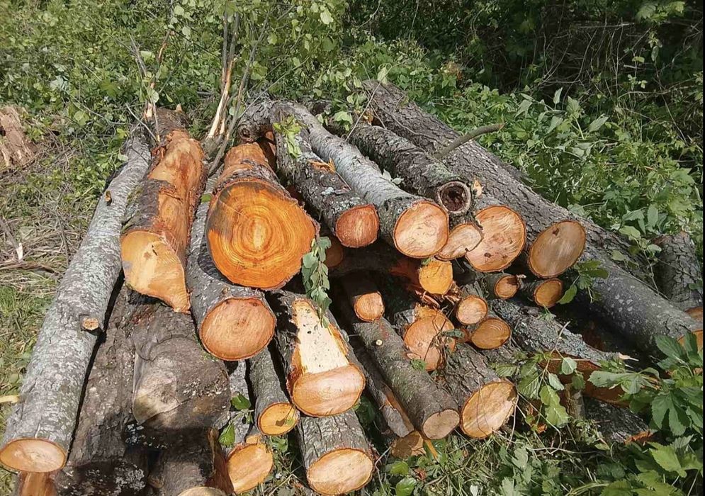 Дрова вільха береза дуб