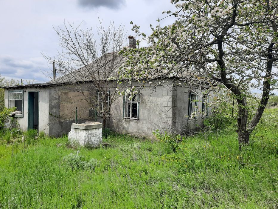 Продається велика кутова ділянка Великий Дальник