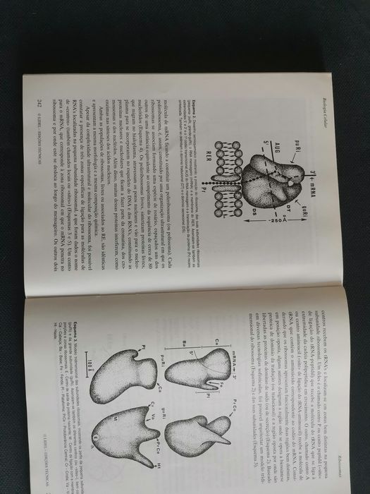 Livro Biologia Celular