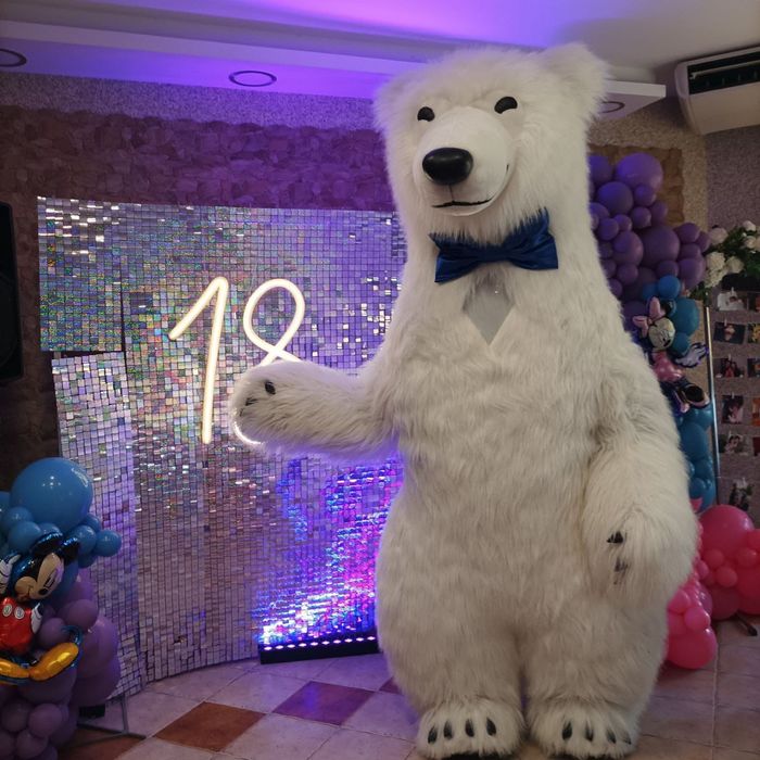 Biały Miś Barni żywa maskotka na imprezę