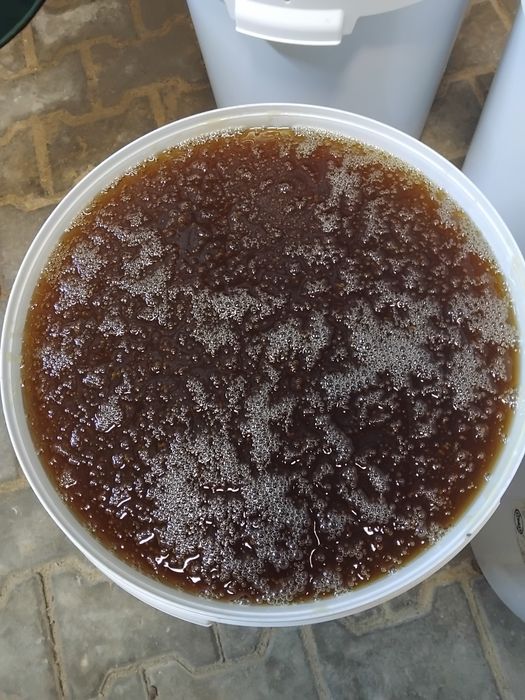 Sprzedam miód lipowy