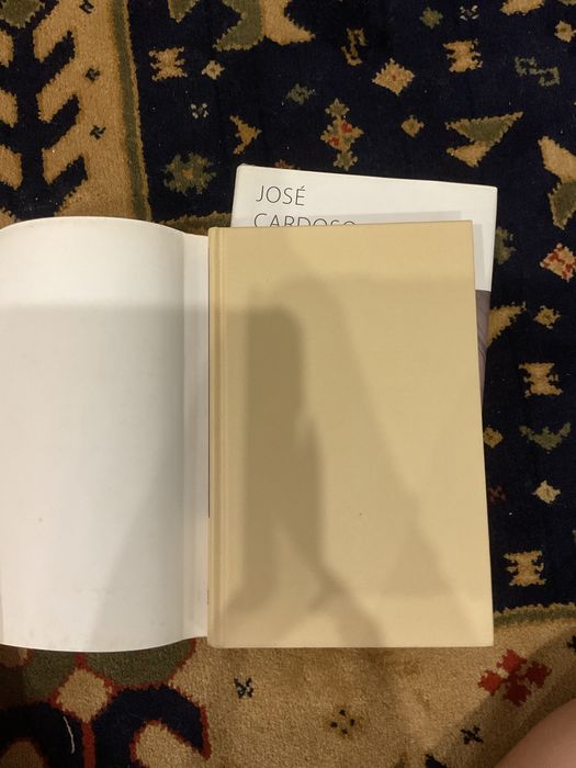 Livro José riço direitinho - breviário das más inclinações