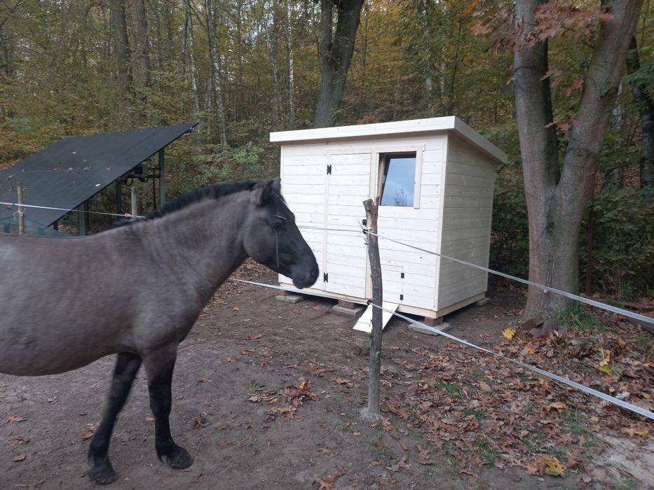 Kurnik , gołębnik, domek ,schowek 230x150