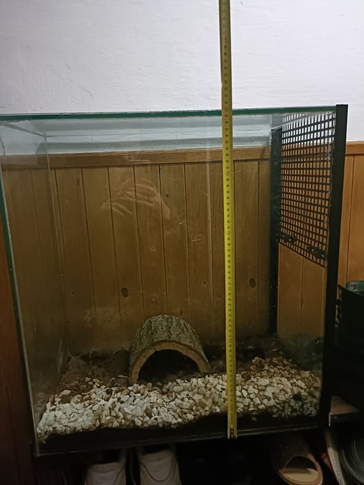 Terrarium ok 120l akwarium