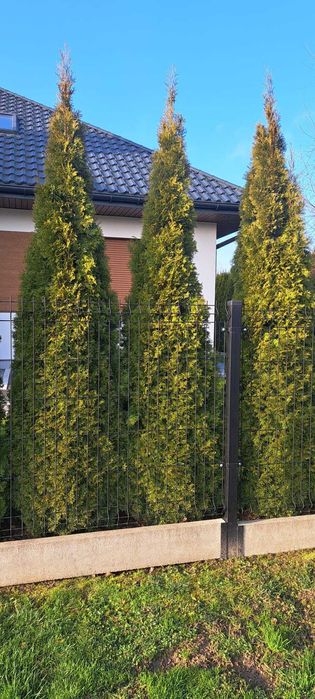 Kompletne Ogrodzenie Panelowe 3D.